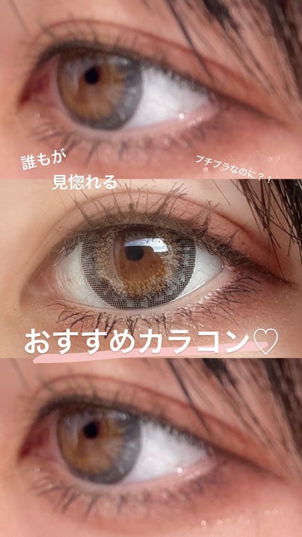 リッチスタンダード スタンダードライン 1day/RICH STANDARD/ワンデー(1DAY)カラコンを使ったクチコミ(1枚目)