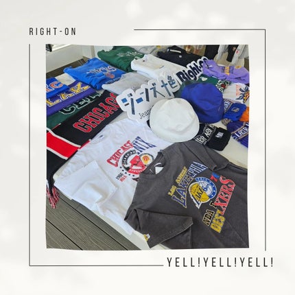 ハリーハリー 薬用おとなの美くびクリーム リッチ(医薬部外品)/ハリーハリー/ネック・デコルテケアを使ったクチコミ(4枚目)