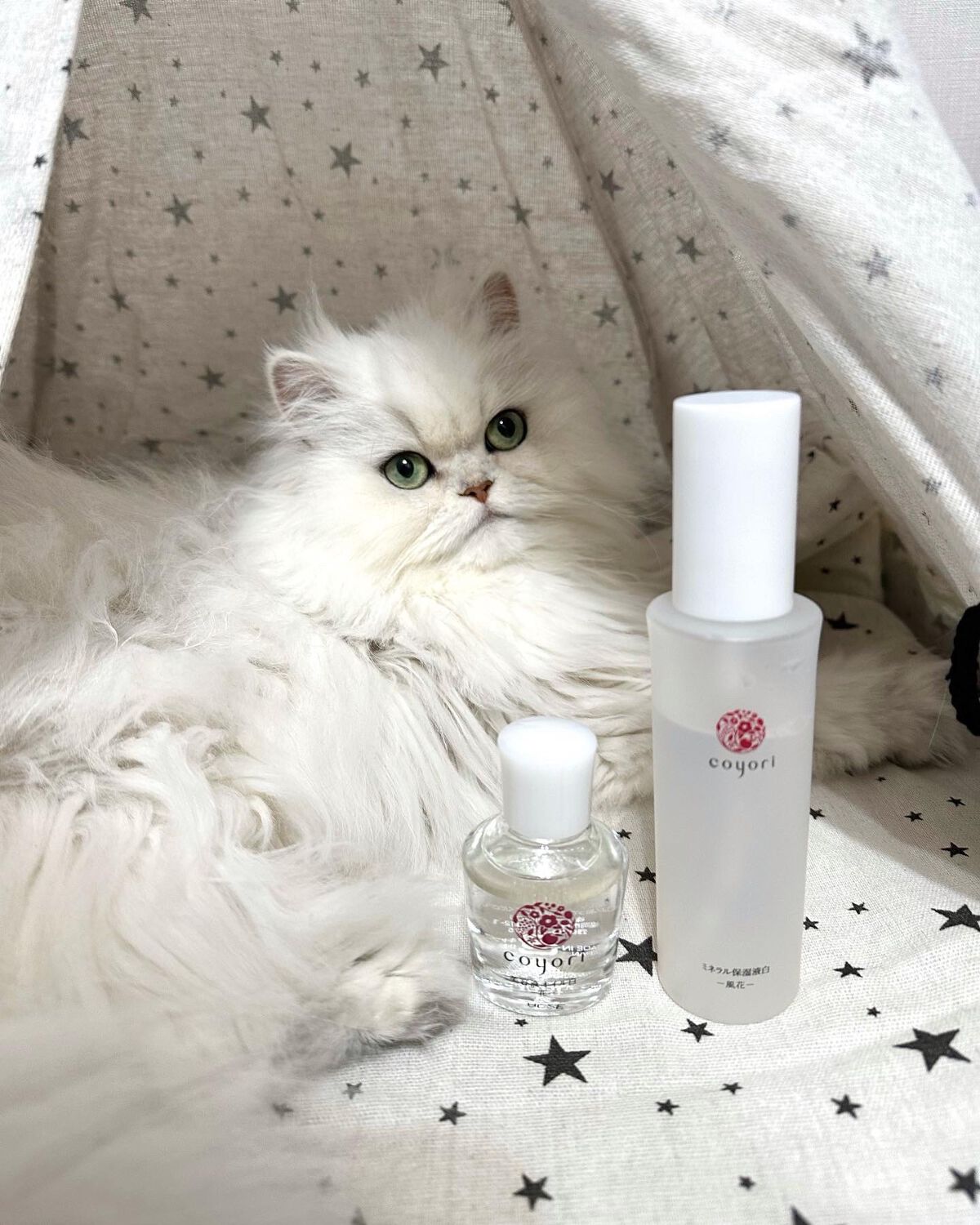美容液オイル/Coyori/美容液を使ったクチコミ（2枚目）