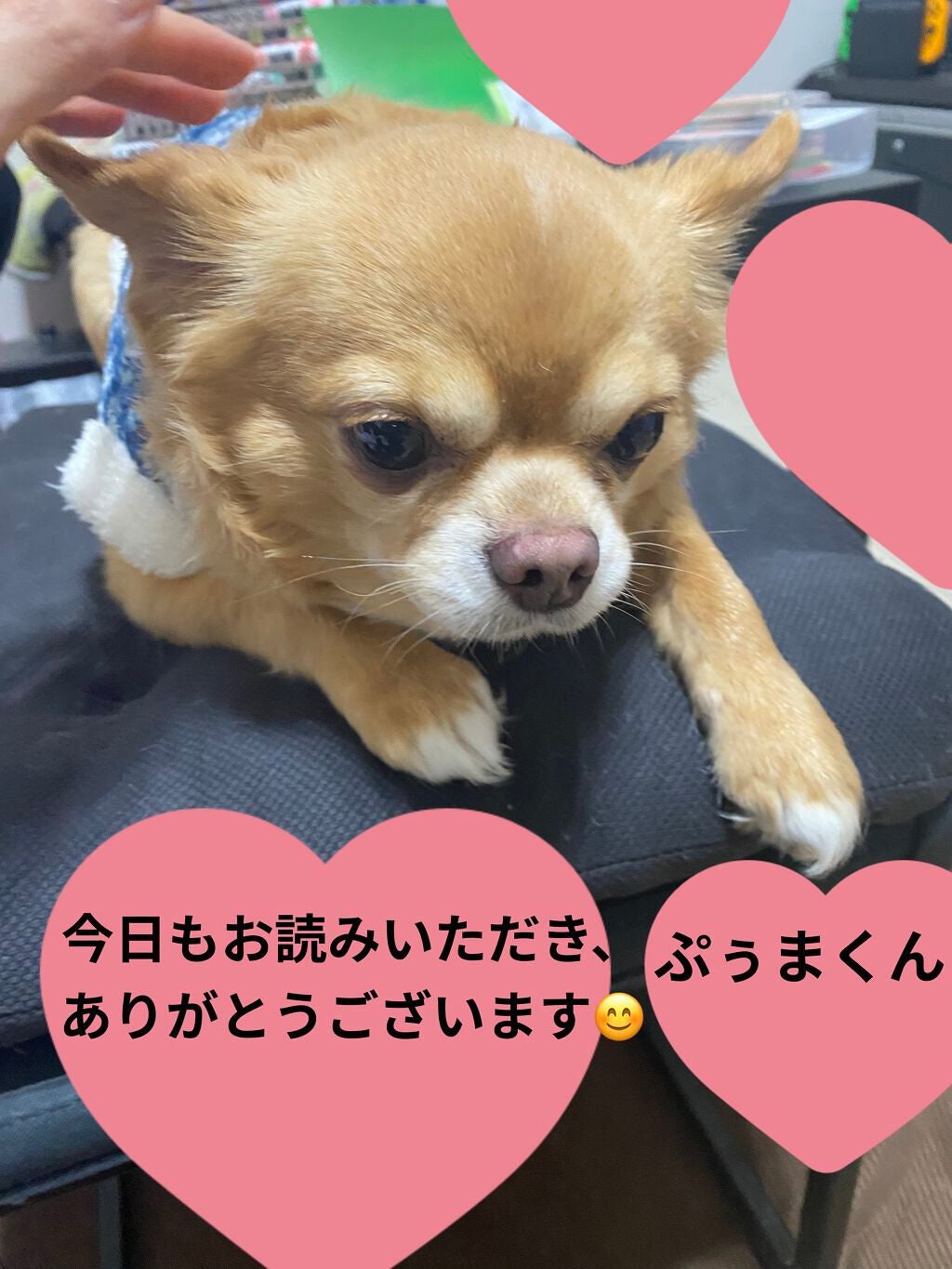 ポーラザハンドクリーム/POLA/ハンドクリームを使ったクチコミ(5枚目)