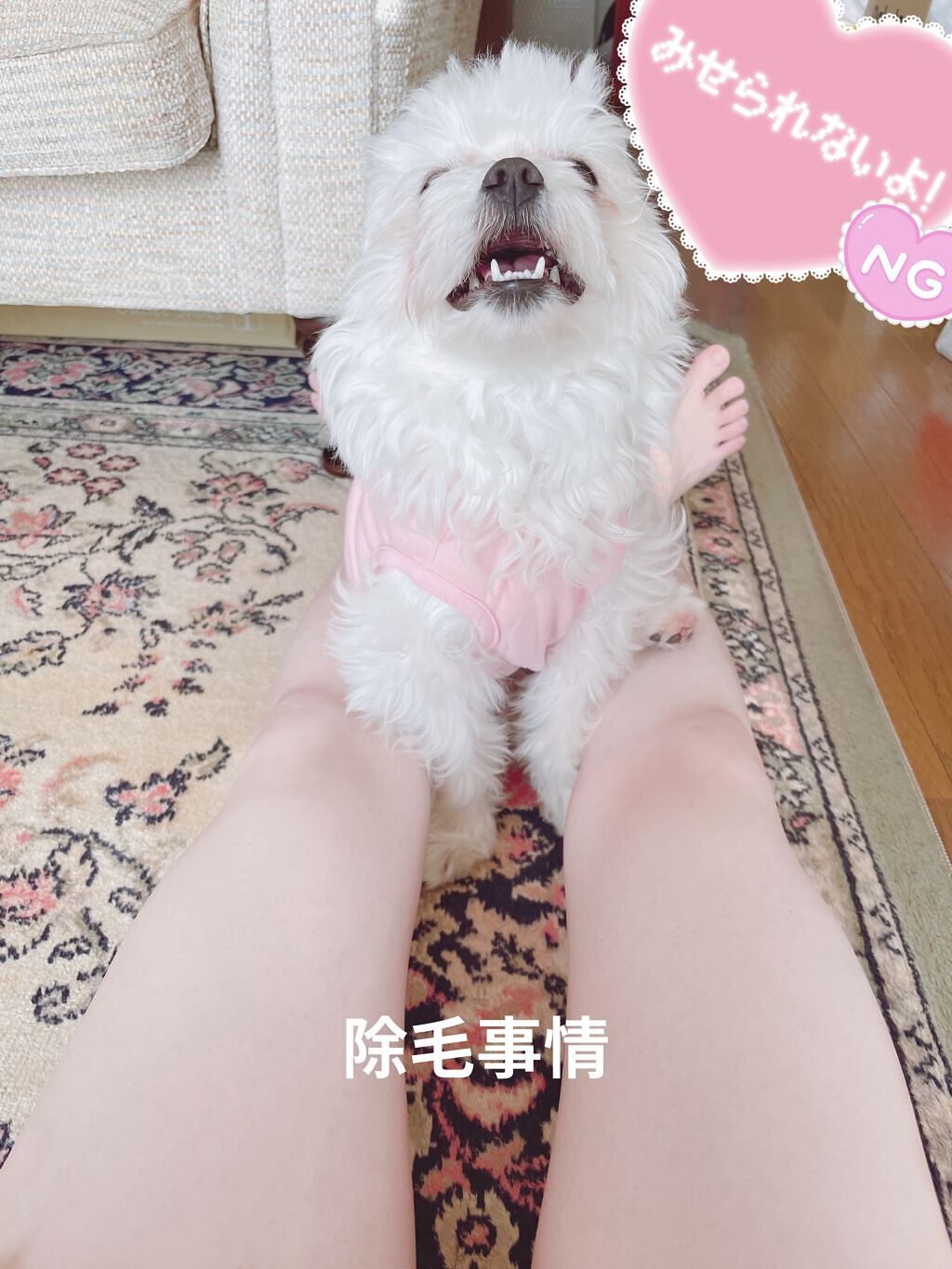 ハイドロシルク シェービングジェル 150g/ハイドロシルク/ムダ毛ケアを使ったクチコミ（1枚目）