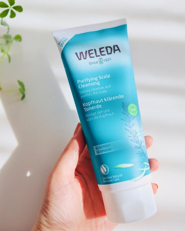 WELEDA ローズマリー スカルプクレンジングのクチコミ「WELEDA （ヴェレダ）ローズマリースカルプクレンジング

WELEDA から出た
天然メン.....」（2枚目）