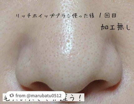 リッチホイップブラシSHINKA(シンカ)/SHOBIDO/その他スキンケアグッズを使ったクチコミ(4枚目)