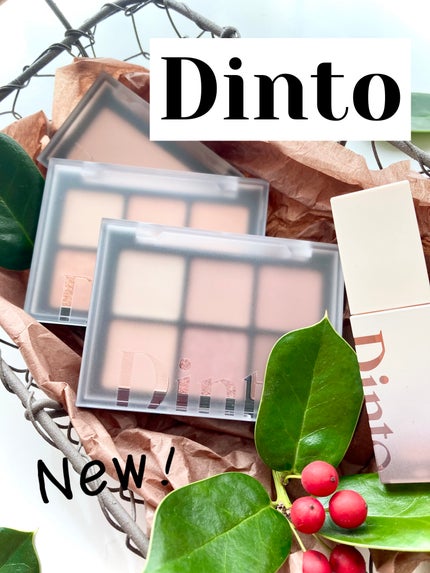 ブラーフィニシュシャドウパレット/Dinto/アイシャドウパレットを使ったクチコミ(1枚目)