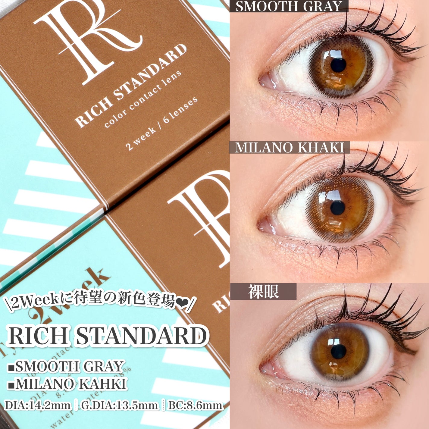 リッチスタンダード2WEEKシリーズ/RICH STANDARD/2週間(2WEEKS)カラコンを使ったクチコミ(2枚目)