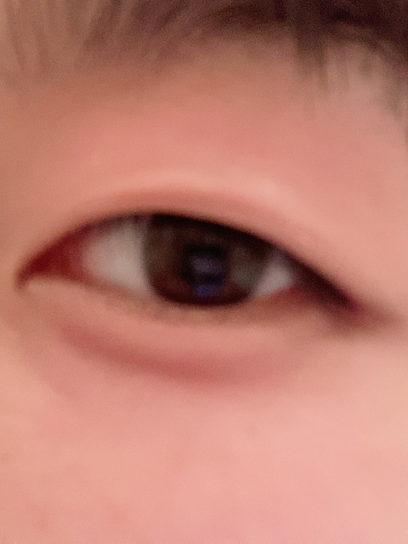 のあ on LIPS 「【使った商品】IBパレットローズ、3wayスリムシェードライナ..」(2枚目)