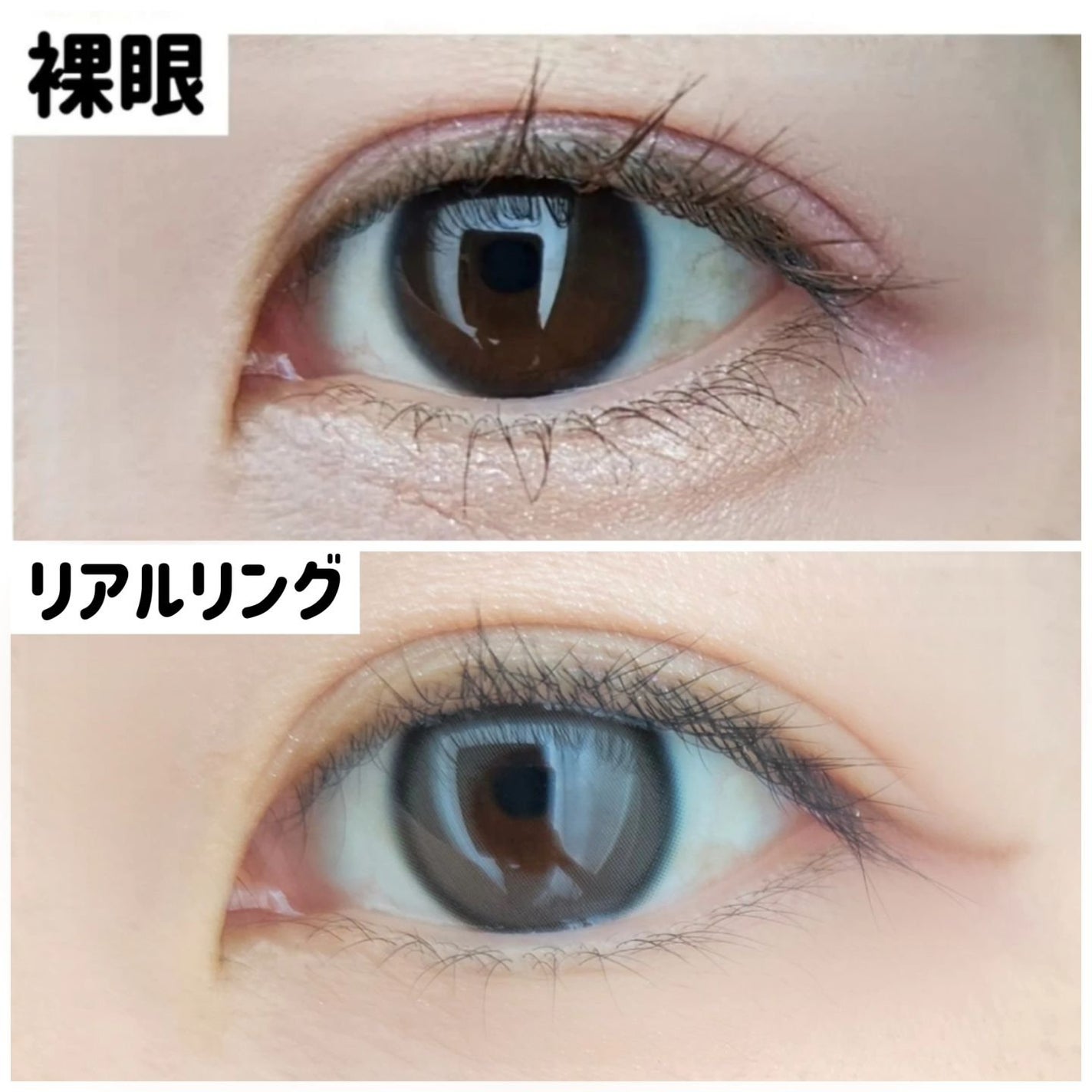 Real Ring 1day/OLENS/ワンデー(1DAY)カラコンを使ったクチコミ(7枚目)