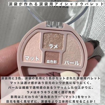 プランぷくコーデアイズ/キャンメイク/パウダーアイシャドウを使ったクチコミ(2枚目)