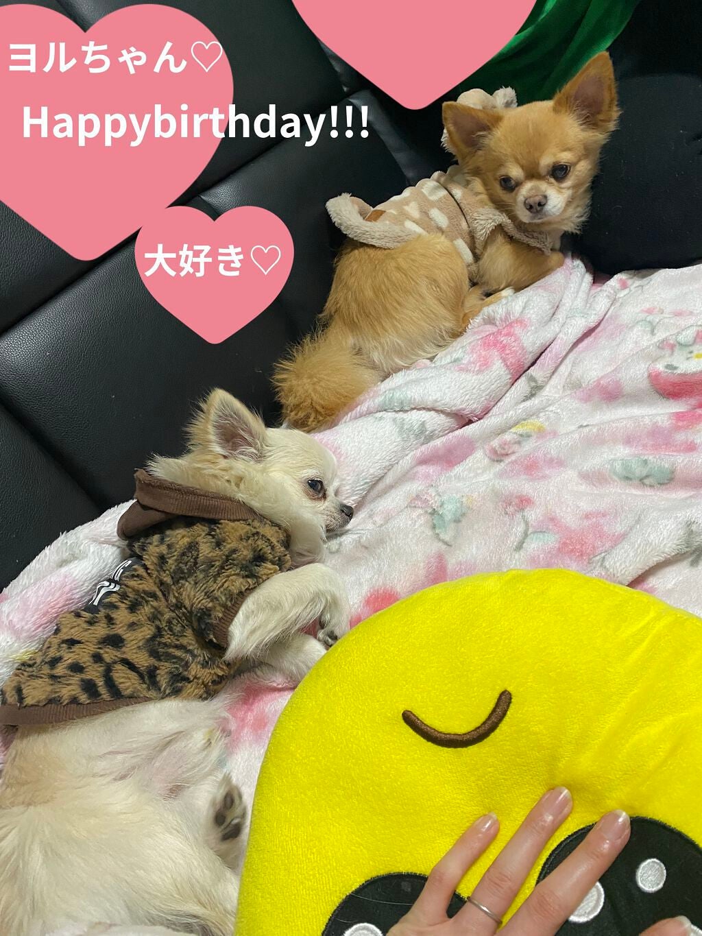 カラフルネイルズ/キャンメイク/マニキュアを使ったクチコミ(4枚目)