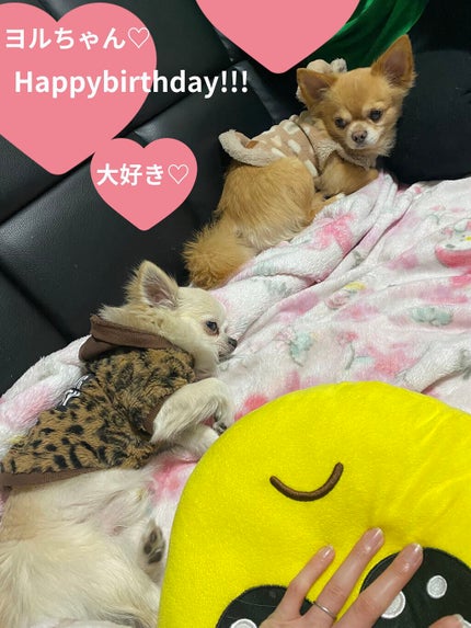 カラフルネイルズ/キャンメイク/マニキュアを使ったクチコミ(4枚目)