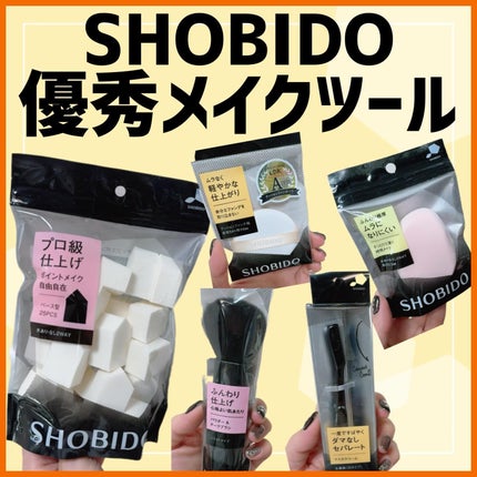パウダー&チークブラシ スライドタイプ/SHOBIDO/メイクブラシを使ったクチコミ(1枚目)