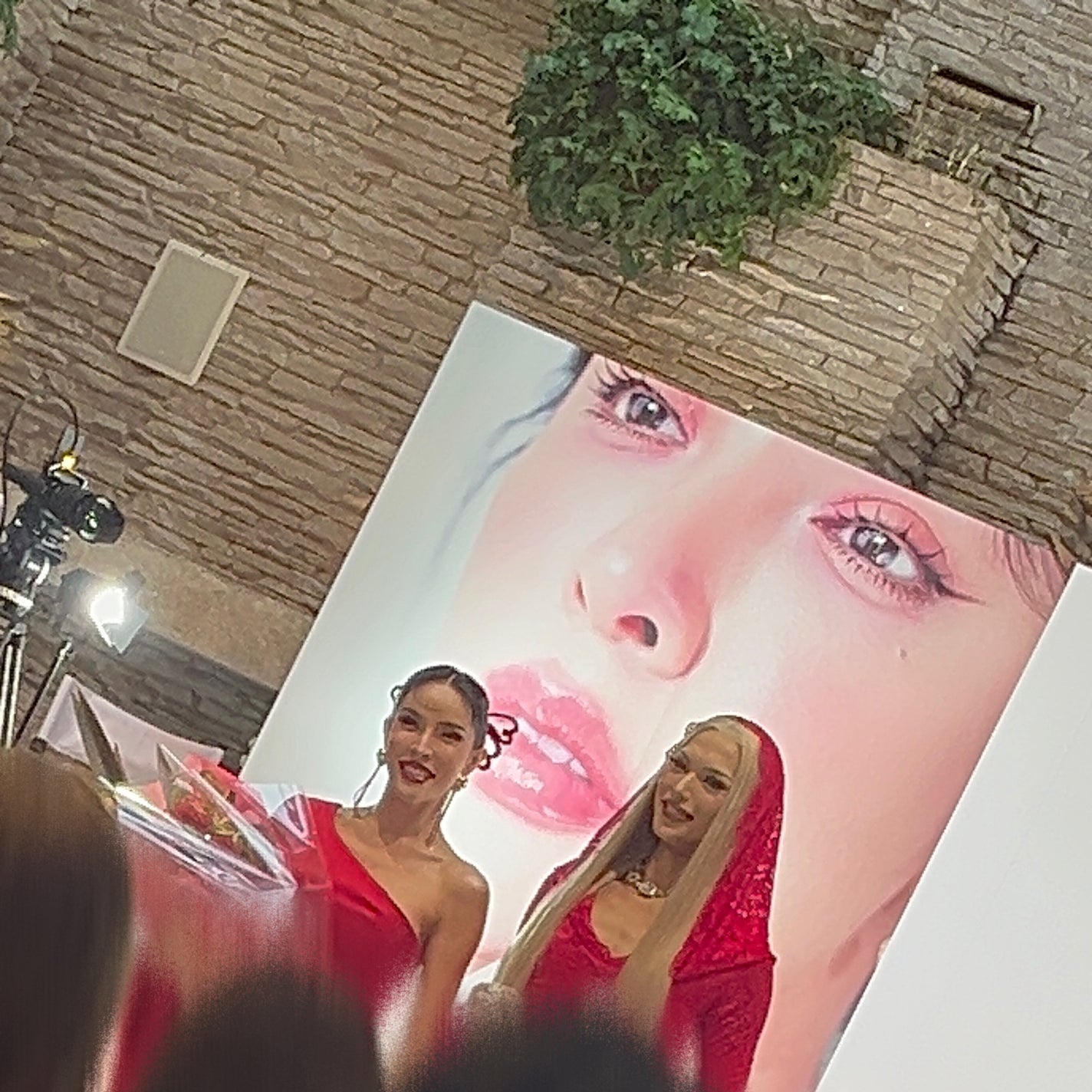 柴犬コスメ🐶 on LIPS 「jflabo_cosme様を通して、lipit.(リップイット..」(3枚目)