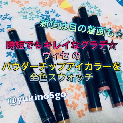 パウダーチップ アイカラー/Visée/アイシャドウパレットを使ったクチコミ(1枚目)