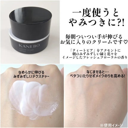 クリーム イン デイ/KANEBO/フェイスクリームを使ったクチコミ(2枚目)