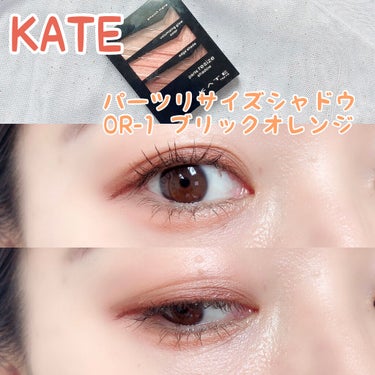 パーツリサイズシャドウ/KATE/アイシャドウパレットを使ったクチコミ（1枚目）