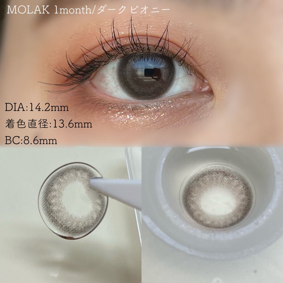 MOLAK 1day/MOLAK/ワンデー(1DAY)カラコンを使ったクチコミ(8枚目)
