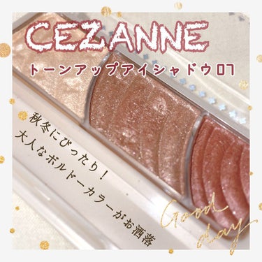 トーンアップアイシャドウ/CEZANNE/アイシャドウパレットを使ったクチコミ（1枚目）