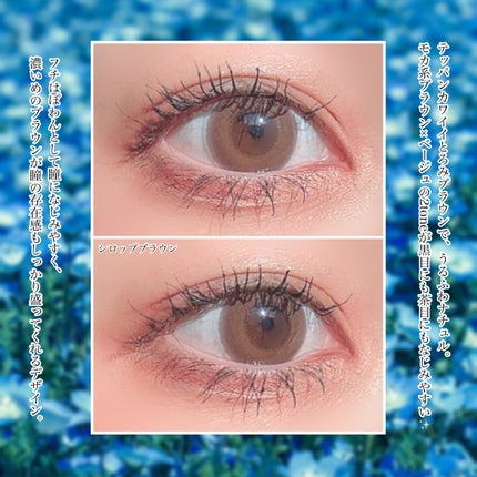 U.P.D. 1day/U.P.D./ワンデー(1DAY)カラコンを使ったクチコミ(5枚目)