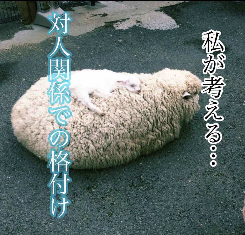 ももたん on LIPS 「31年間生きてきて最近、やっぱり人間には格付けがあるなと思うよ..」(1枚目)