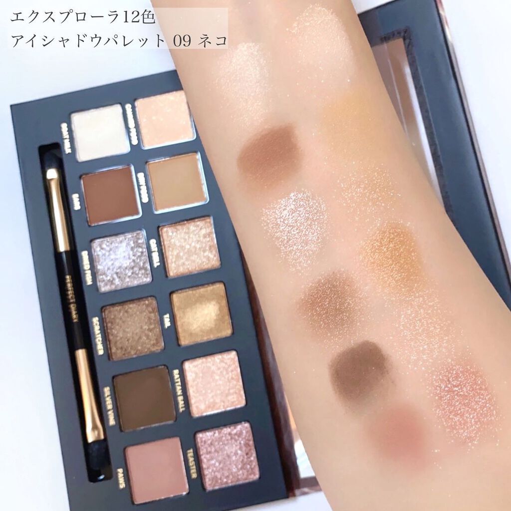 エクスプローラ12色 動物アイシャドウパレット/PERFECT DIARY/アイシャドウパレットを使ったクチコミ（3枚目）
