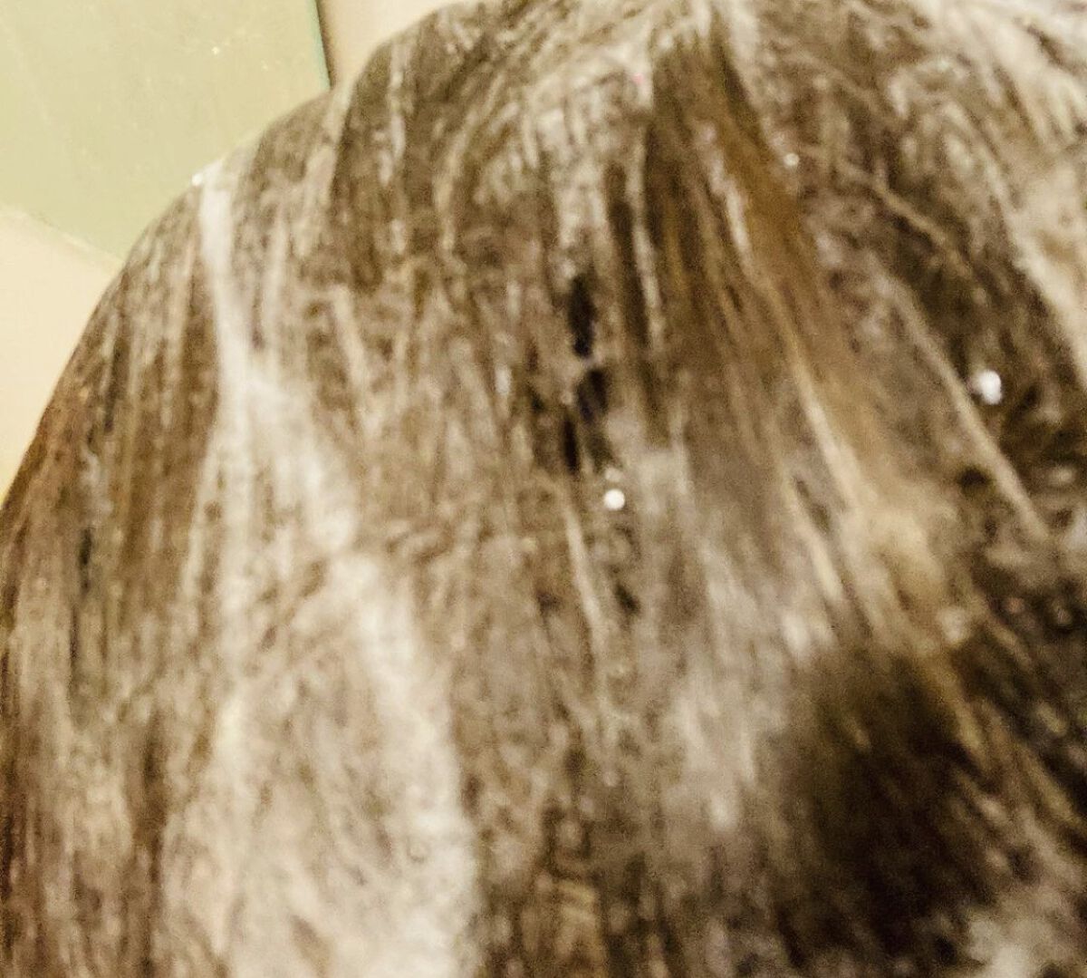 ランブット シャンプー/RAMBUT/市販シャンプーを使ったクチコミ（3枚目）