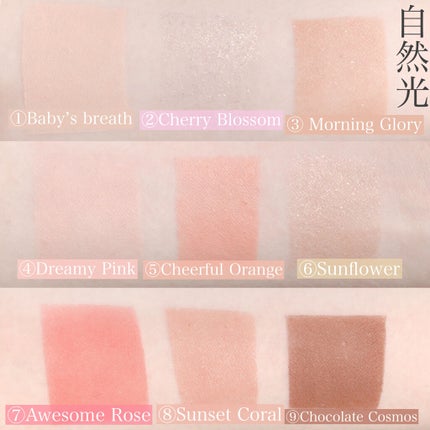 ワンピックアイシャドウパレット/APLIN/アイシャドウパレットを使ったクチコミ(4枚目)