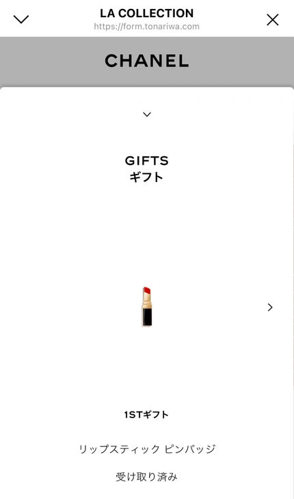 GIFT/CHANEL/ãã®ä»ã䜿ã£ãã¯ãã³ãïŒ2æç®ïŒ