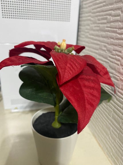 トーンアップアイシャドウ/CEZANNE/アイシャドウパレットを使ったクチコミ(5枚目)