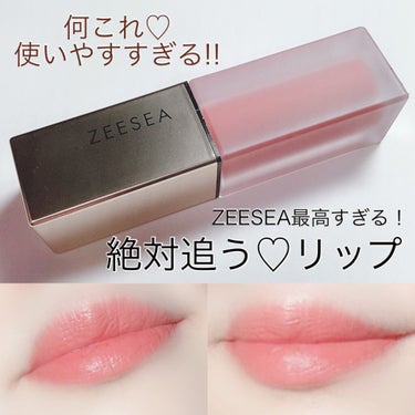 ZEESEA軽い霧マットなLIPGLOSS/ZEESEA/リップグロスを使ったクチコミ（1枚目）