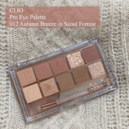 プロ アイ パレット/CLIO/アイシャドウパレットを使ったクチコミ(2枚目)