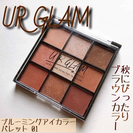 UR GLAM BLOOMING EYE COLOR PALETTE/U R GLAM/アイシャドウパレットを使ったクチコミ(1枚目)