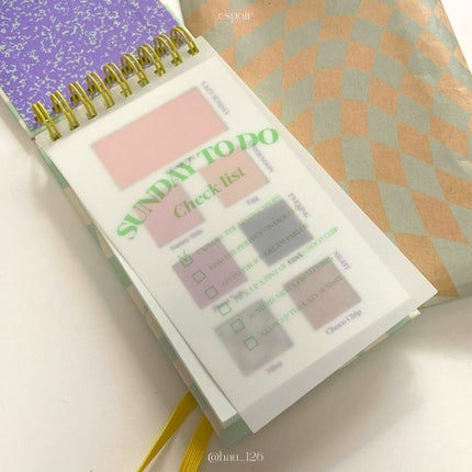 22S/Sルックブック ミントチェック/espoir/アイシャドウパレットを使ったクチコミ(2枚目)