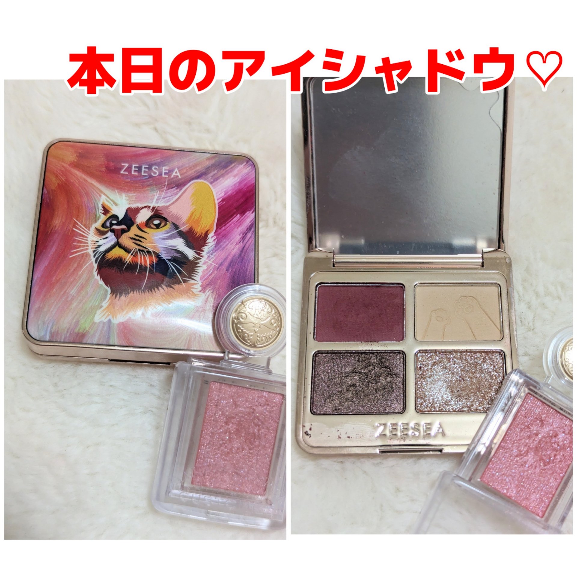 シャドーカスタマイズ/MAJOLICA MAJORCA/単色アイシャドウを使ったクチコミ（1枚目）