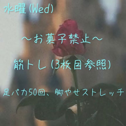 えす on LIPS 「痩せたい方集まれ!!これで一緒に痩せましょ!!ども!えすですた..」(6枚目)