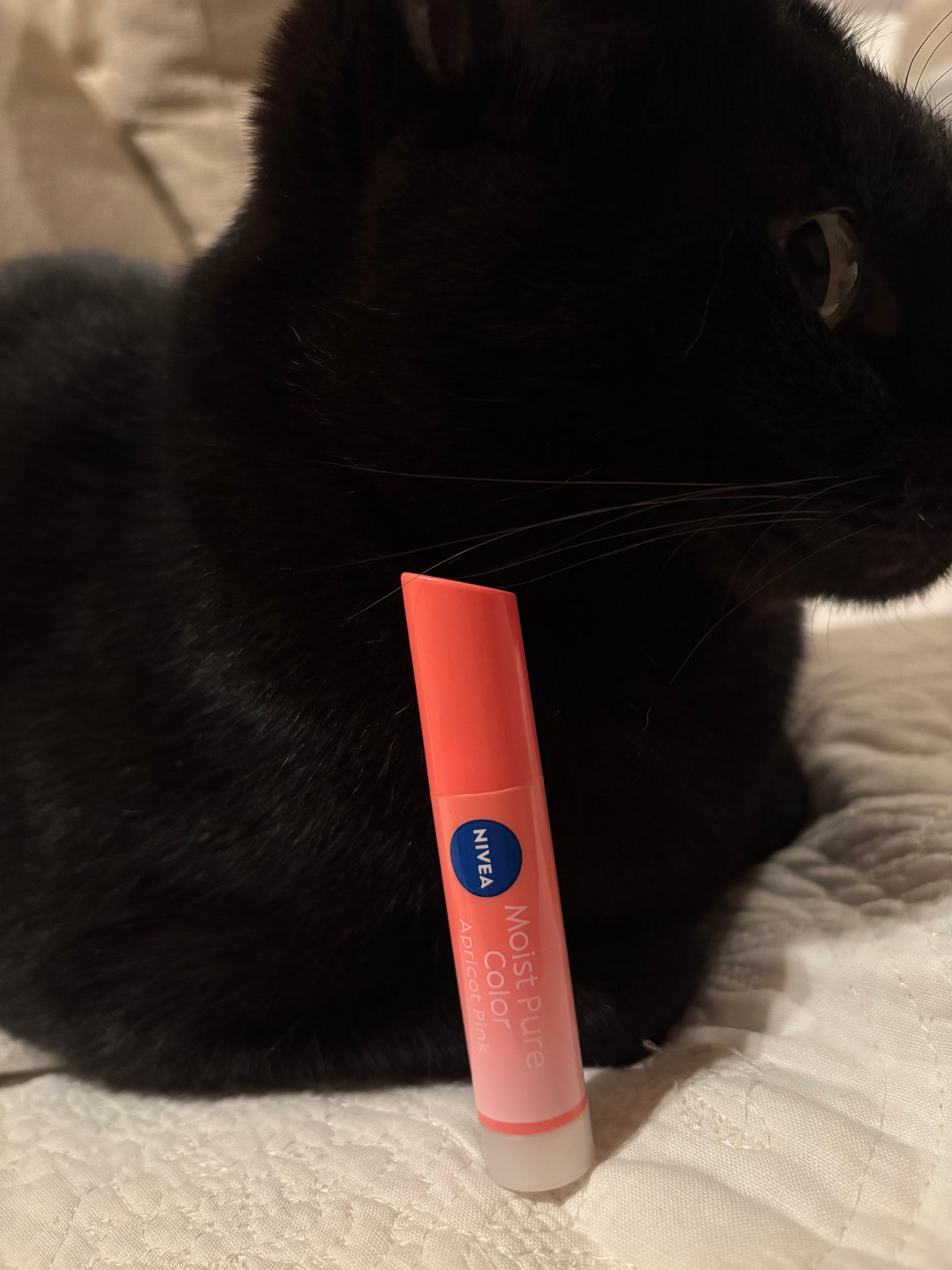 モイストピュアカラーリップ/ニベア/リップクリームを使ったクチコミ(1枚目)