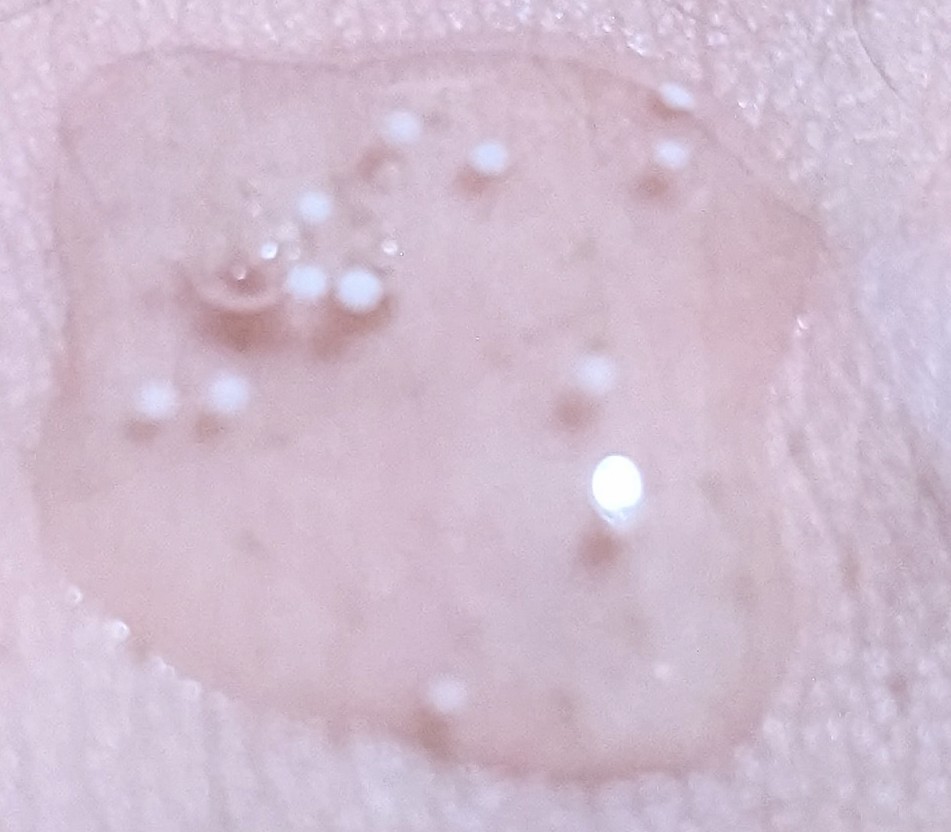 を使ったクチコミ（2枚目）