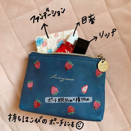 横型 ファンデーション ケース D/ちふれ/その他化粧小物を使ったクチコミ(5枚目)