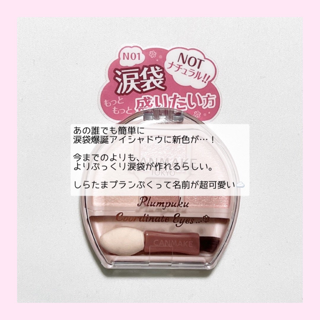 プランぷくコーデアイズ/キャンメイク/パウダーアイシャドウを使ったクチコミ(2枚目)
