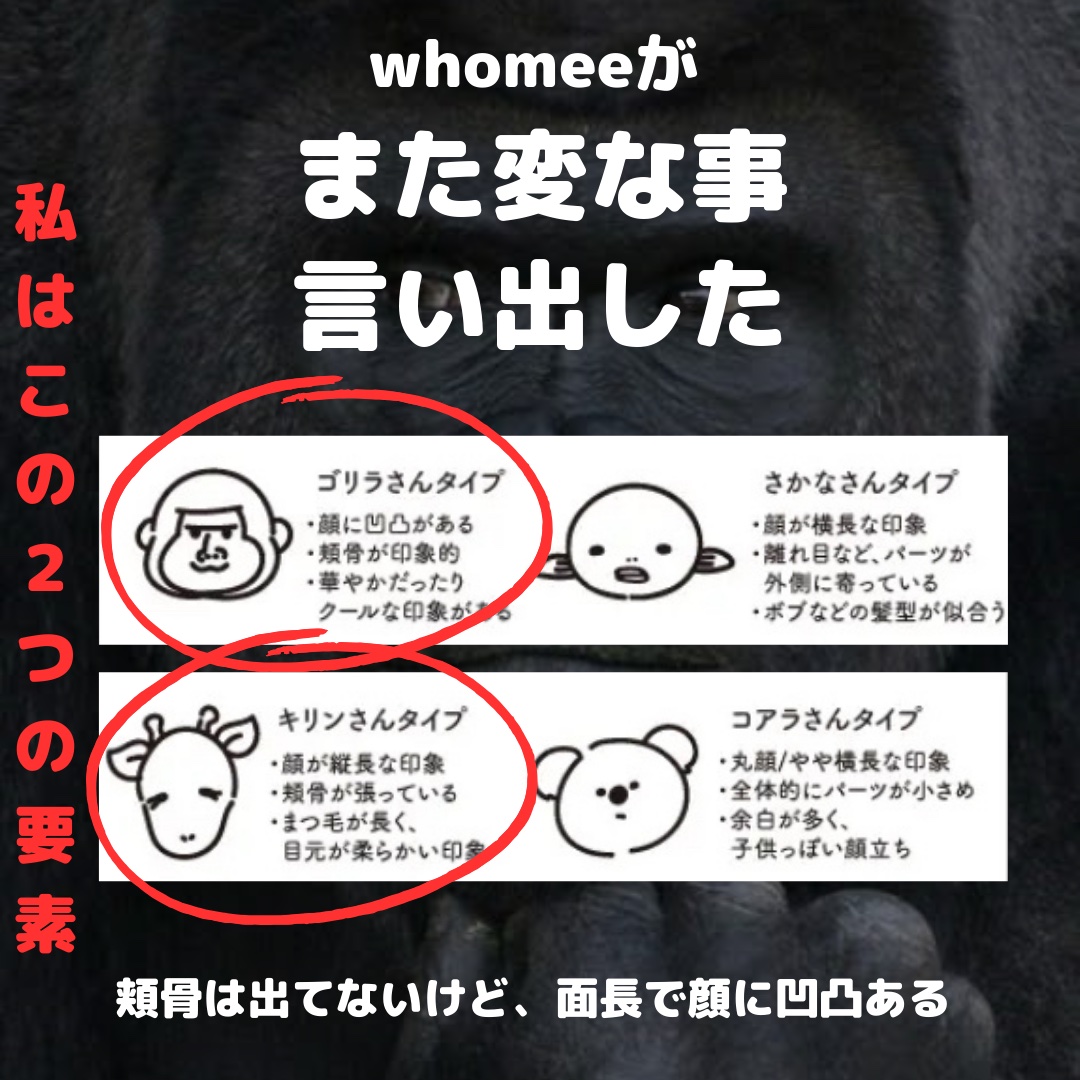 フーミー 時計回りパレット/WHOMEE/アイシャドウパレットを使ったクチコミ（3枚目）