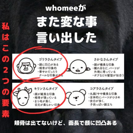 フーミー 時計回りパレット/WHOMEE/アイシャドウパレットを使ったクチコミ(3枚目)