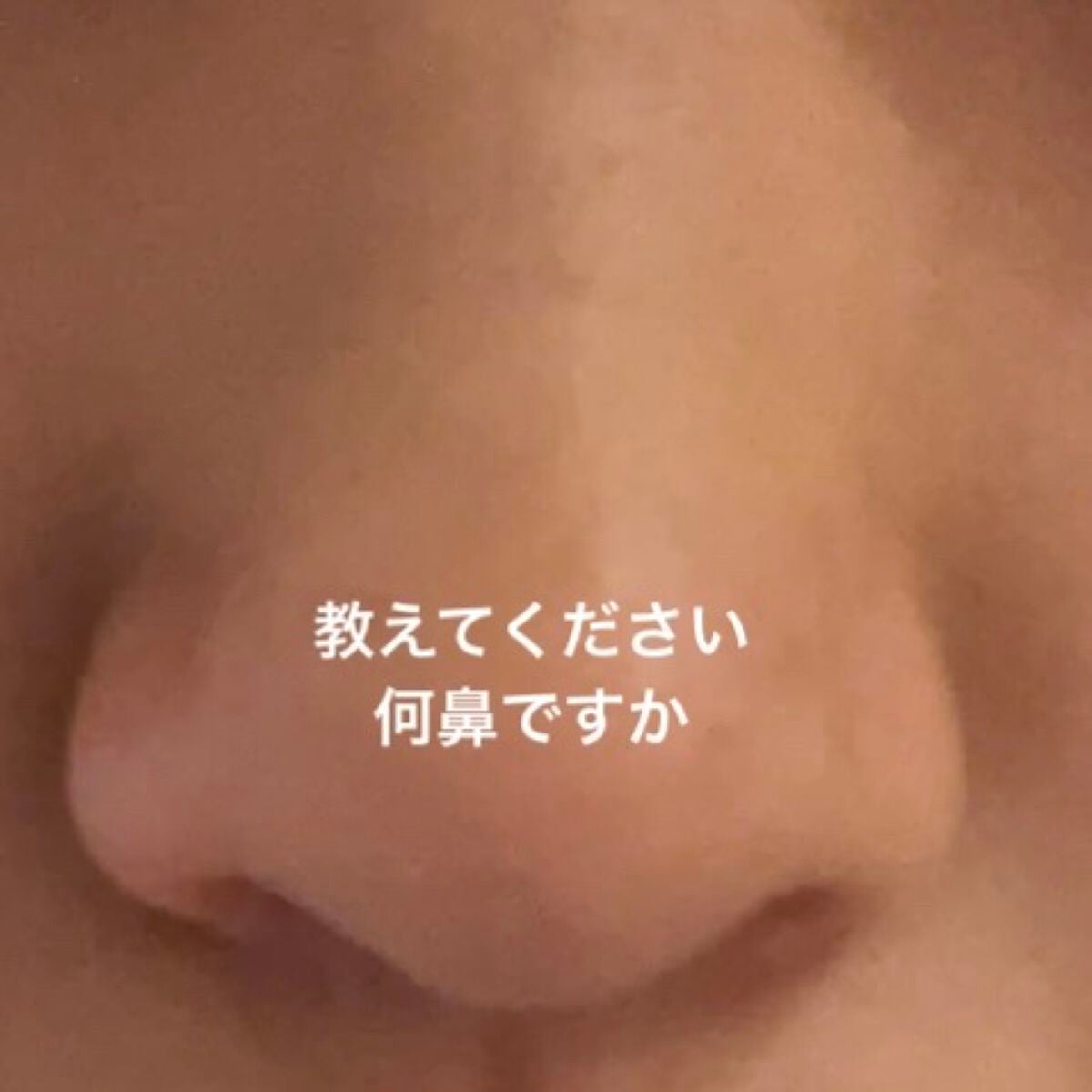 甘い on LIPS 「自分の鼻の形がわからないです教えてください#はじめての投稿..」(1枚目)