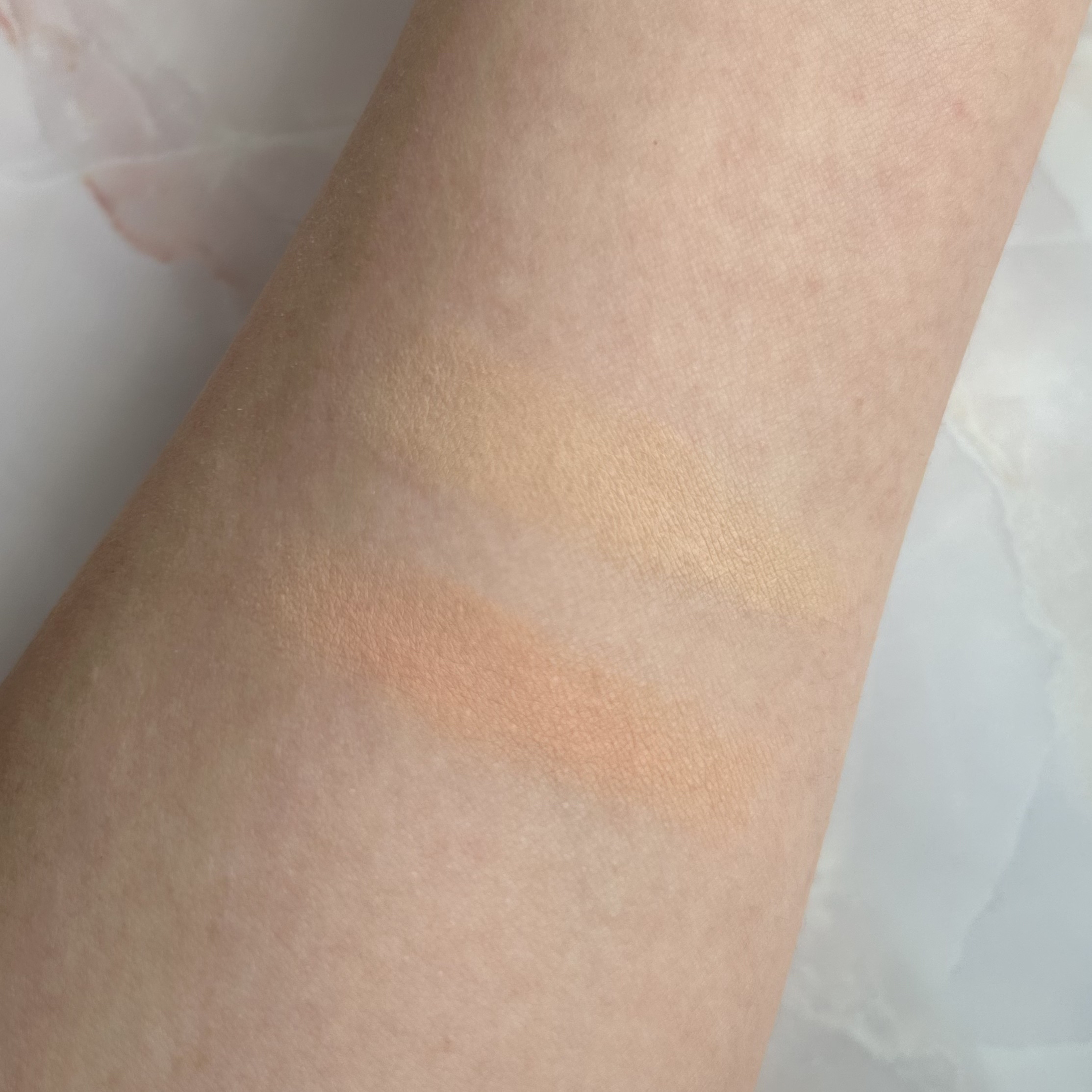 メルティフィットコンシーラー/インテグレート/パレットコンシーラーを使ったクチコミ（2枚目）