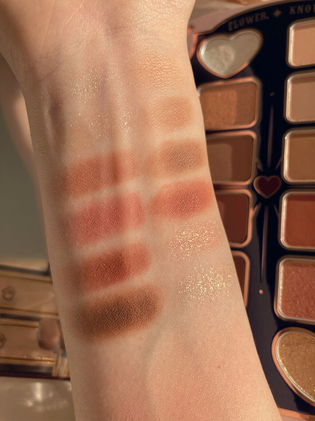 サーカスシリーズ グラデーションブラッシュ /FlowerKnows/パウダーチークを使ったクチコミ（3枚目）