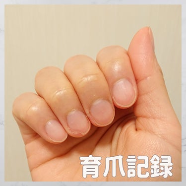 シア ネイルオイル 7.5ml【旧】/L'OCCITANE/ネイルオイル・トリートメントを使ったクチコミ（1枚目）