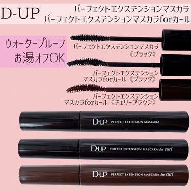 シルキーリキッドアイライナーWP/D-UP/リキッドアイライナーを使ったクチコミ（2枚目）