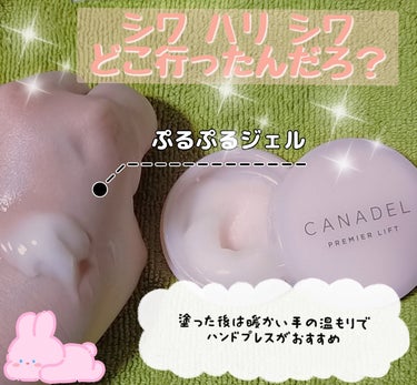 プレミアリフト オールインワン/CANADEL/オールインワン化粧品を使ったクチコミ（2枚目）