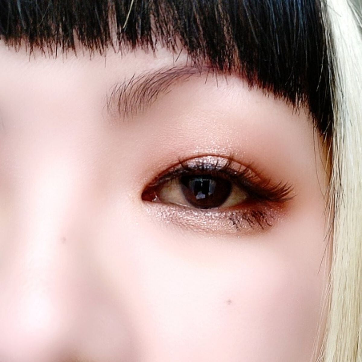 ベージュトーンアイシャドウ/CEZANNE/アイシャドウパレットを使ったクチコミ(5枚目)