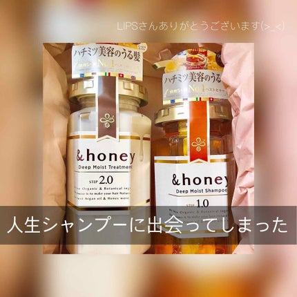 ディープモイスト シャンプー1.0/ヘアトリートメント2.0/&honey/市販シャンプーを使ったクチコミ(1枚目)