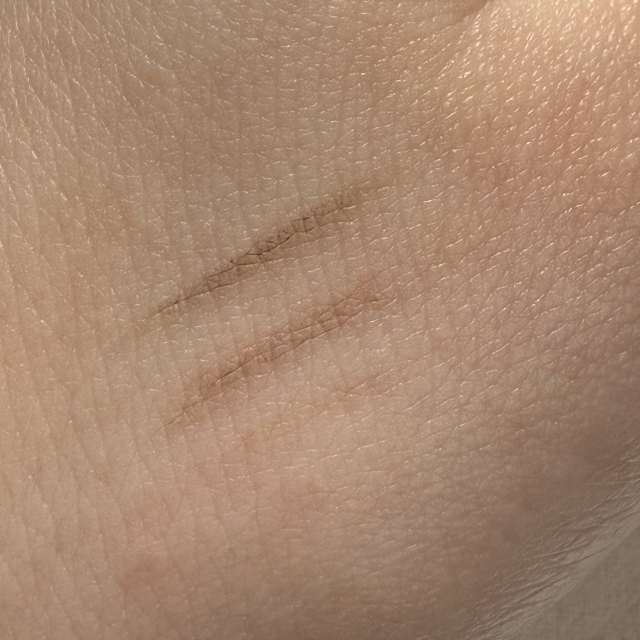 アイブロウカッペリーニスリム/キャンメイク/アイブロウペンシルを使ったクチコミ（3枚目）