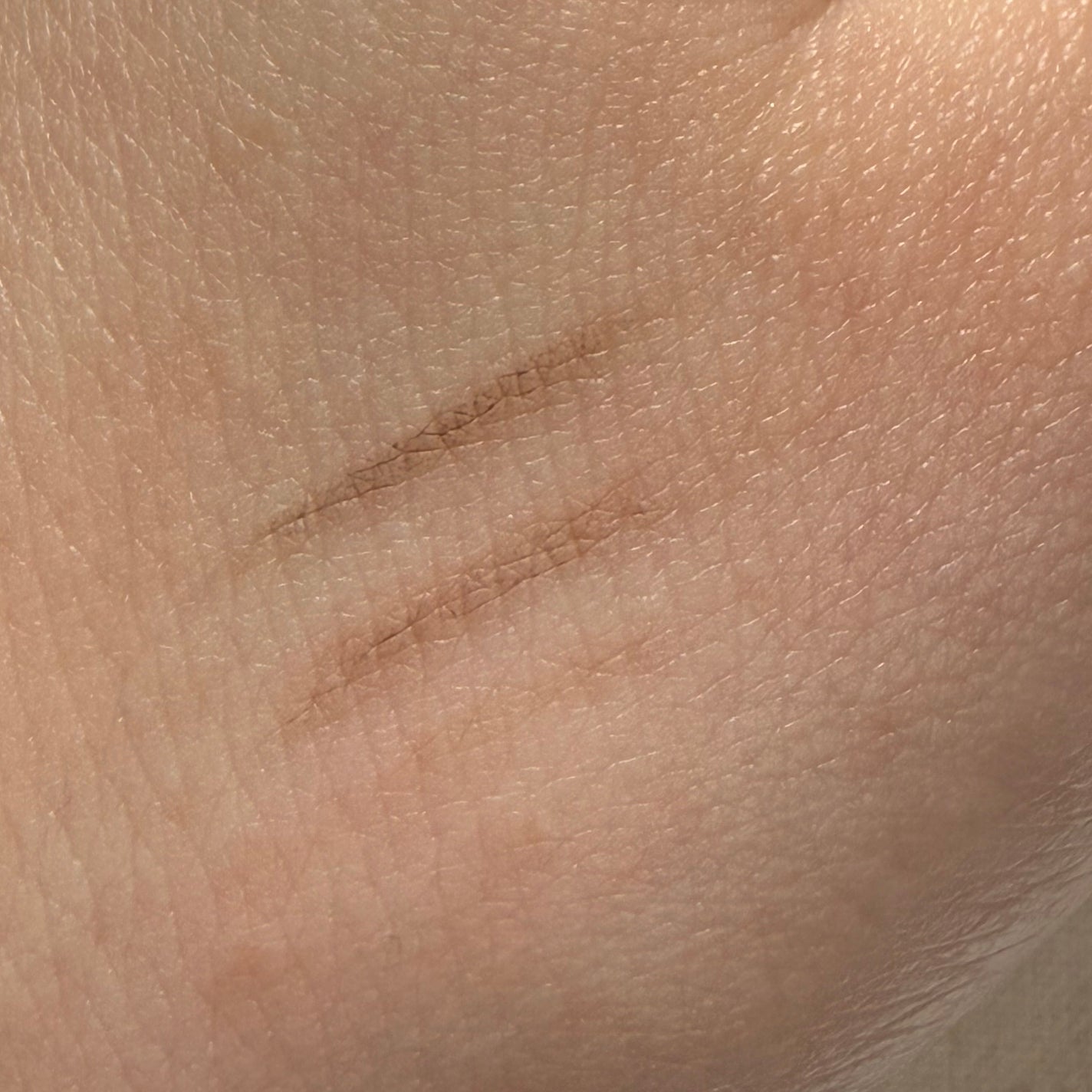 アイブロウカッペリーニスリム/キャンメイク/アイブロウペンシルを使ったクチコミ(3枚目)